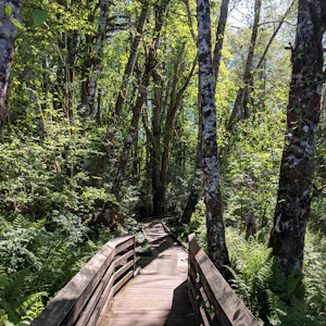 Sunrise at McLane Creek Nature Trail