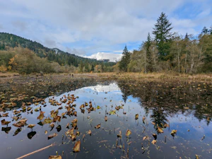 McLane Creek Nature Trail at sunrise